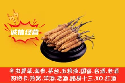 伊吾县回收冬虫夏草